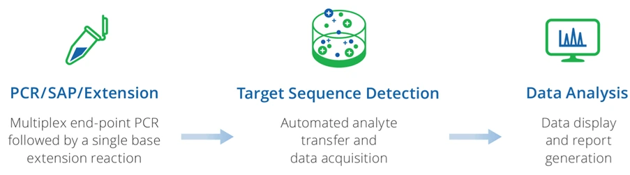 3-Step Workflow
